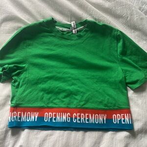 Green opening ceremony top